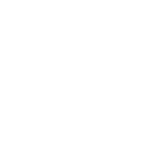 Trusted partner icon